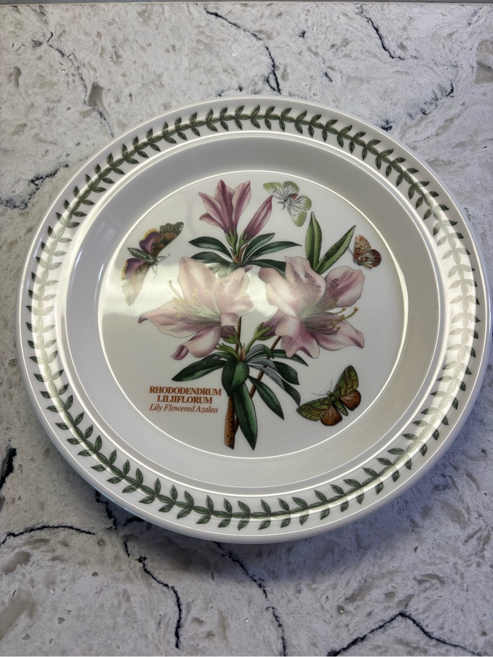 Portmeirion Botanic Garden Dinner Plate
